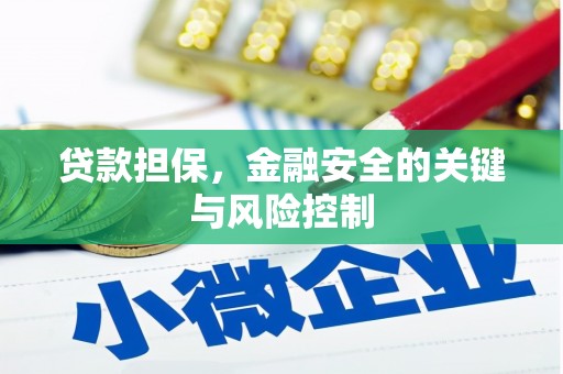 回民贷款担保，金融安全的关键与风险控制