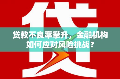 回民贷款不良率攀升，金融机构如何应对风险挑战？