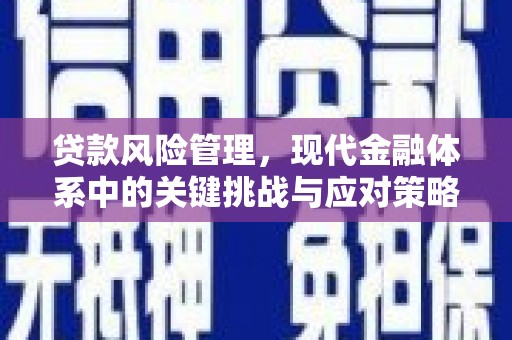 回民贷款风险管理，现代金融体系中的关键挑战与应对策略