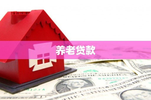 回民养老贷款