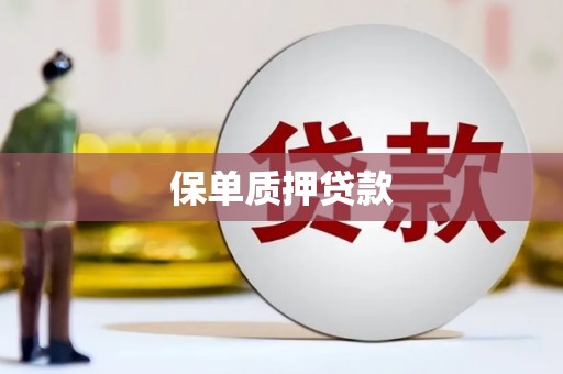 回民保单质押贷款