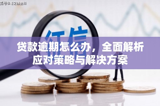 回民贷款逾期怎么办，全面解析应对策略与解决方案