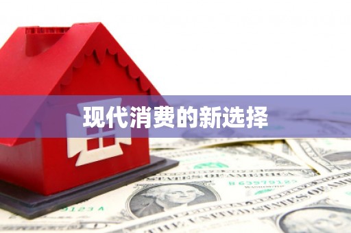 回民现代消费的新选择