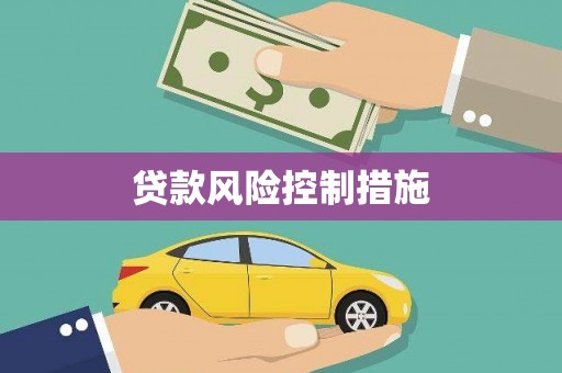 回民贷款风险控制措施