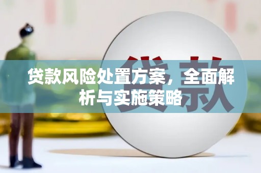 回民贷款风险处置方案，全面解析与实施策略