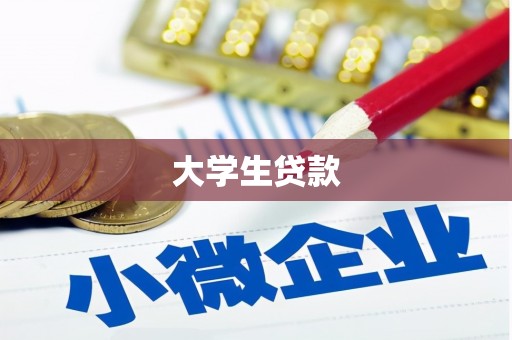 回民大学生贷款